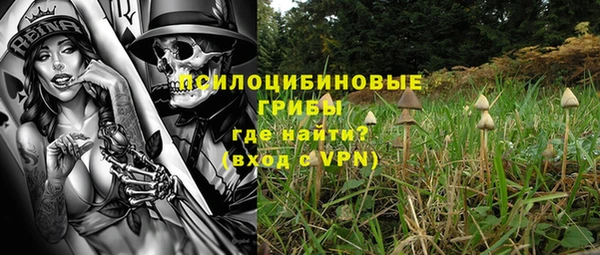 винт Горно-Алтайск