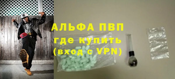 твердый Гусев