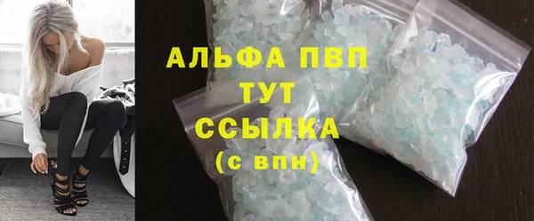твердый Гусев