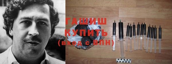 твердый Гусев