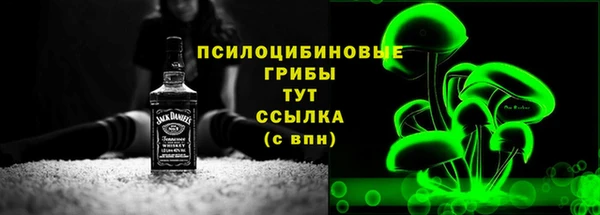 гашик Горняк