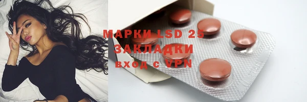 гашик Горняк