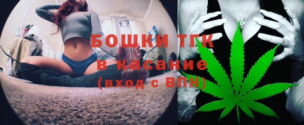 стафф Гусь-Хрустальный
