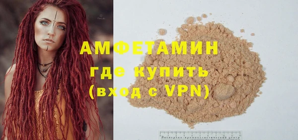 гашик Горняк
