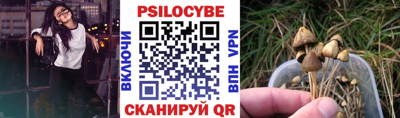 Псилоцибиновые грибы Psilocybe  hydra зеркало  Горняк 